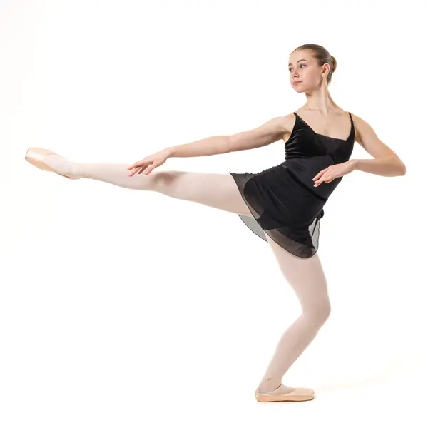 Capezio Pine Leotard, costum femei