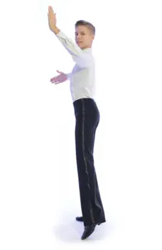 Pantaloni bărbăteşti de societate standard Basic