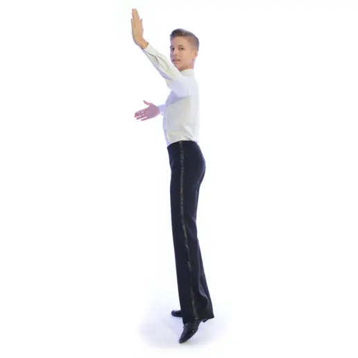 Pantaloni bărbăteşti de societate standard Basic